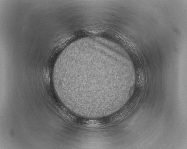 X0000115530562200912040952