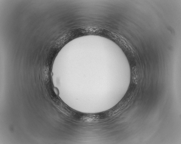 X0000115530563200912040952