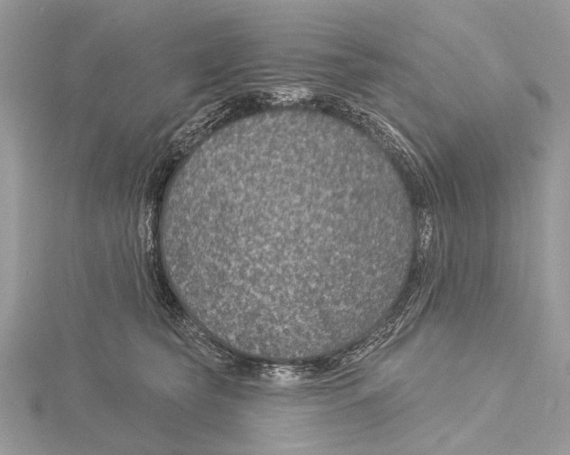 X0000115530565200912040952