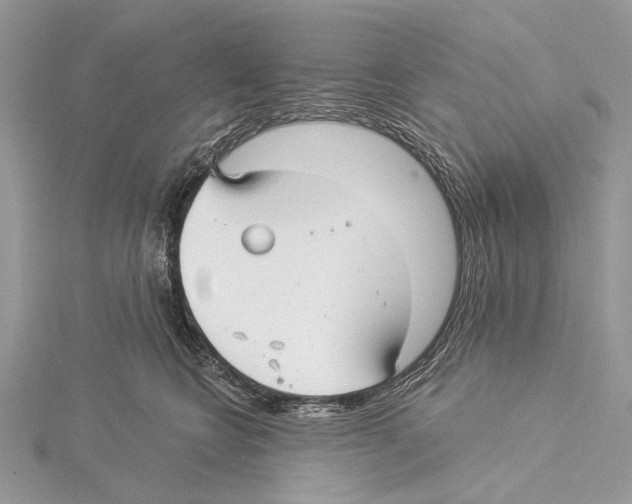 X0000115530566200912040952