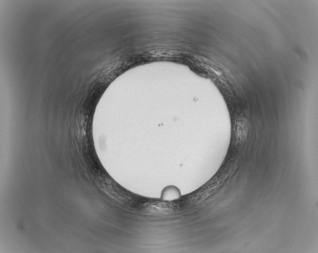 X0000115530567200912040952