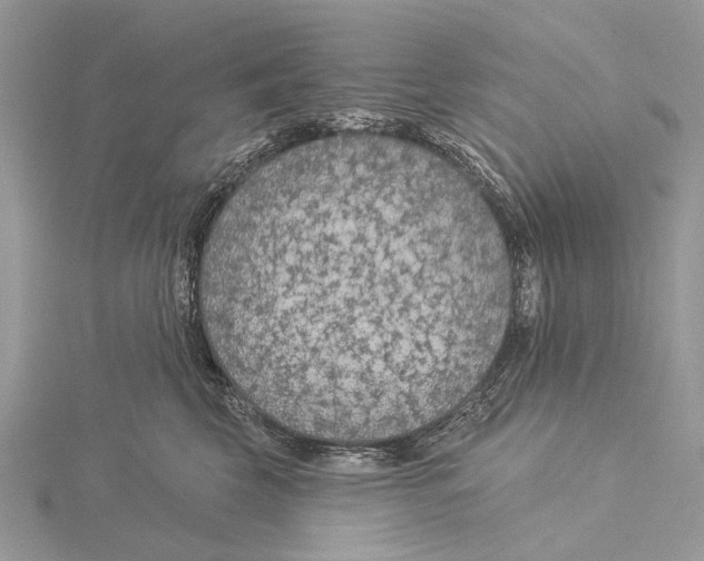 X0000115530569200912040952