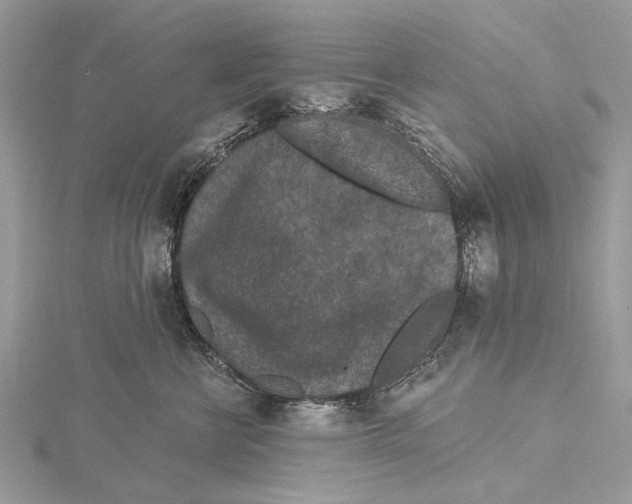 X0000115530570200912040952