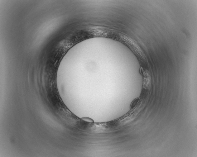 X0000115530573200912040952