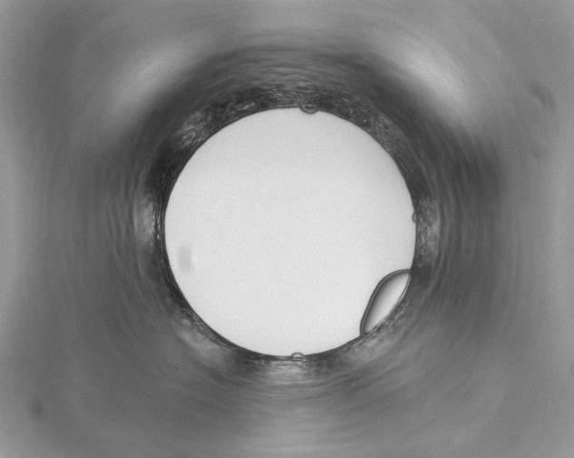 X0000115530574200912040952