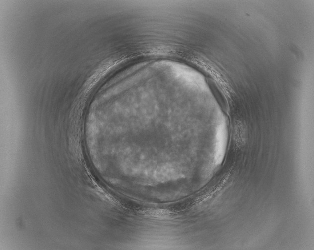 X0000115530577200912040952