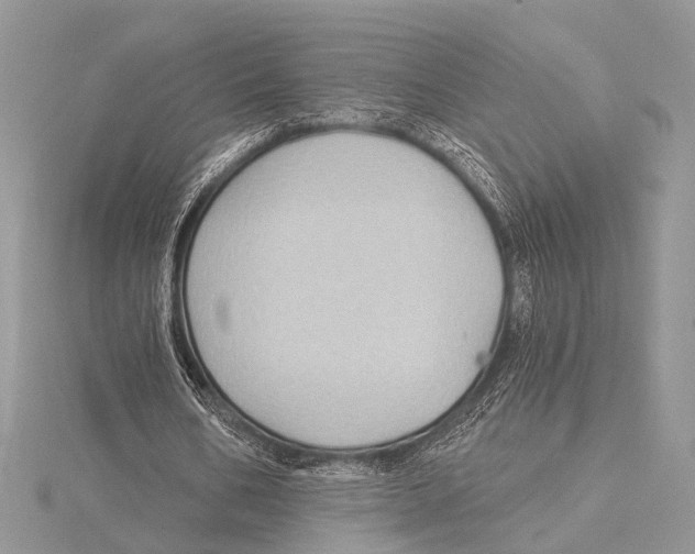 X0000115530578200912040952