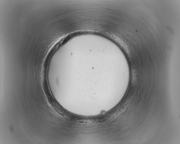 X0000115530580200912040952