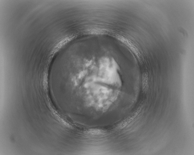 X0000115530581200912040952