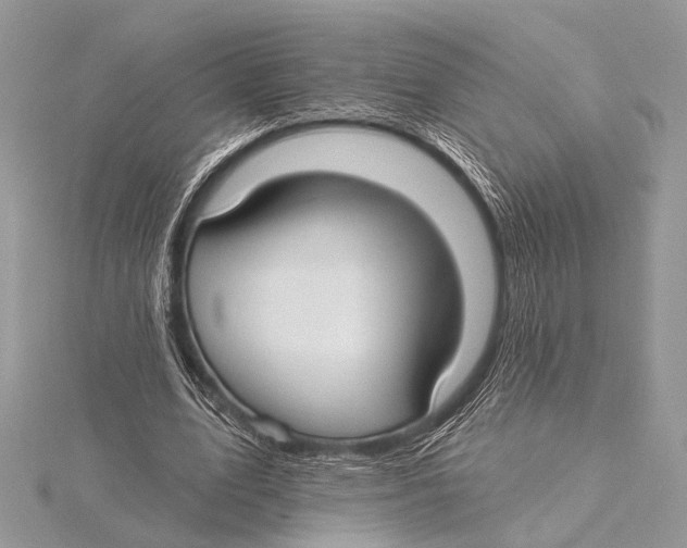 X0000115530583200912040952