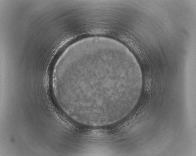 X0000115530584200912040952