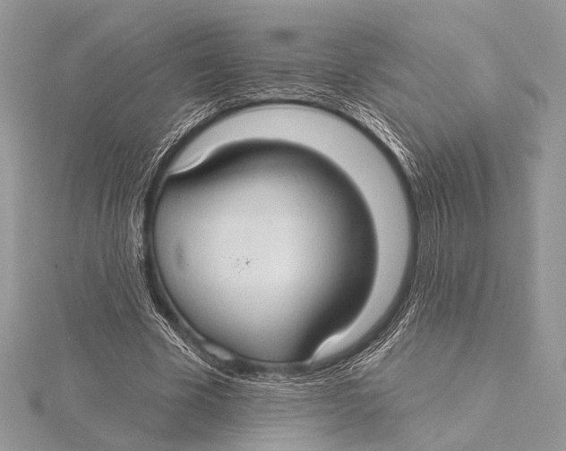 X0000115530585200912040952