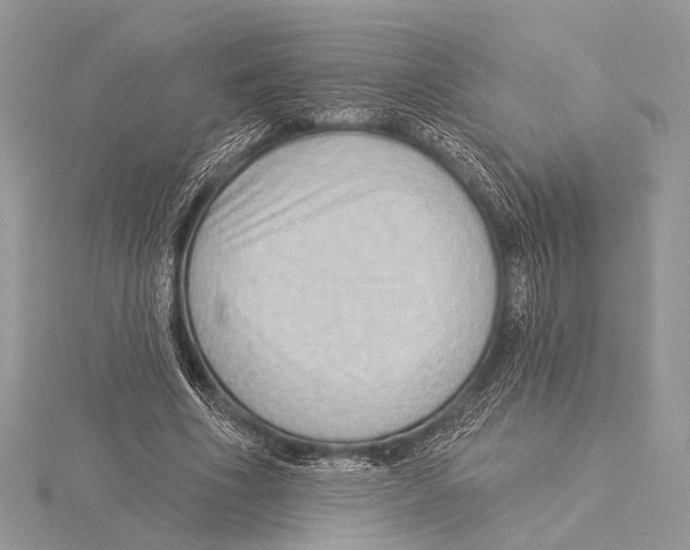 X0000115530586200912040952