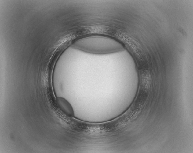 X0000115530587200912040952