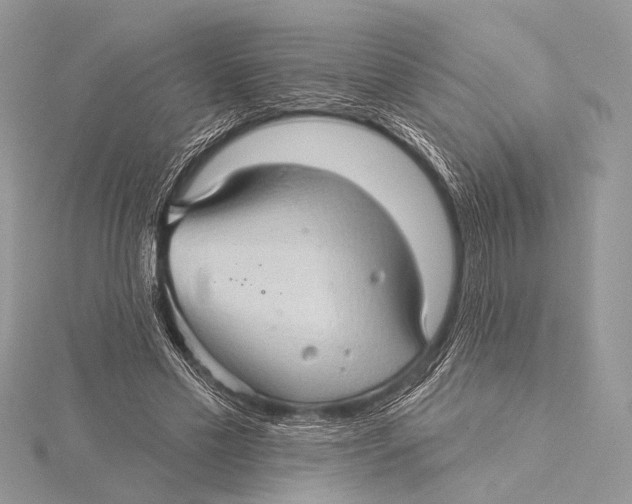 X0000115530589200912040952