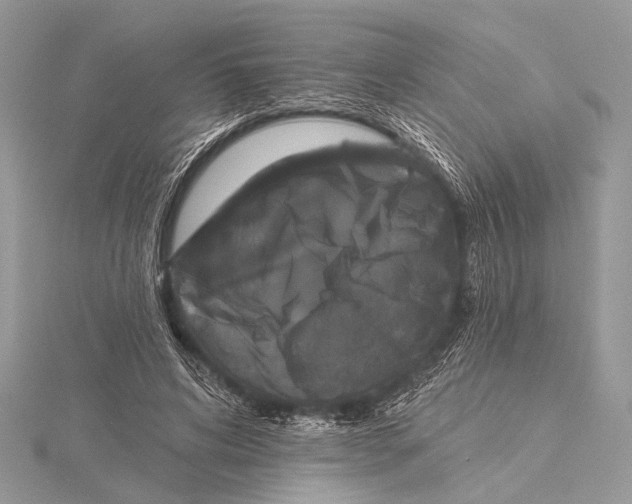 X0000115530592200912040952