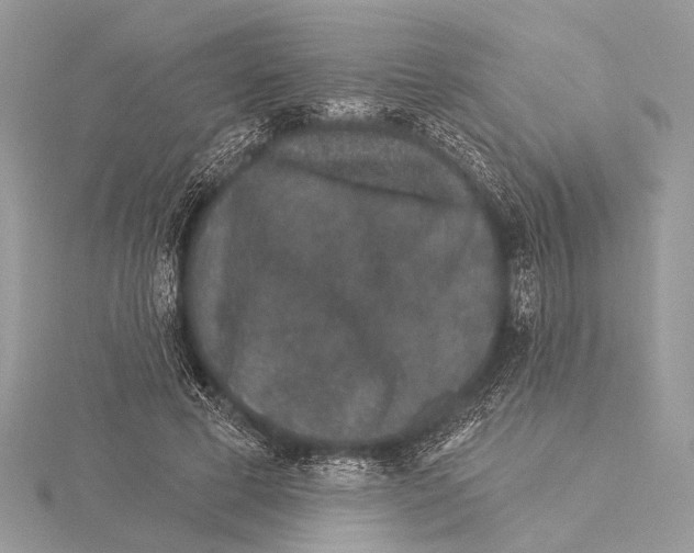 X0000115530593200912040952