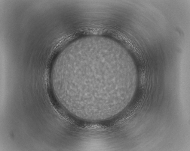 X0000115530594200912040952