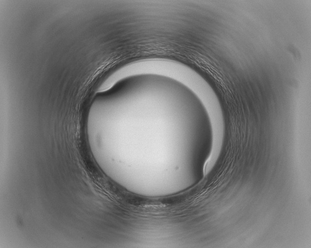 X0000115530595200912040952