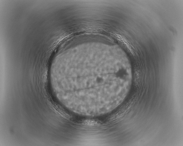 X0000115530596200912040952