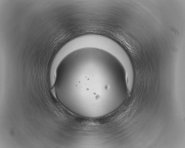 X0000115530597200912040952