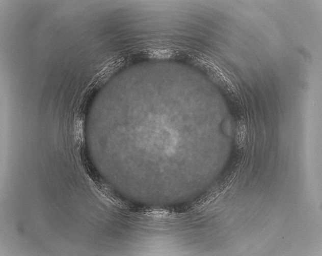 X0000115530598200912040952