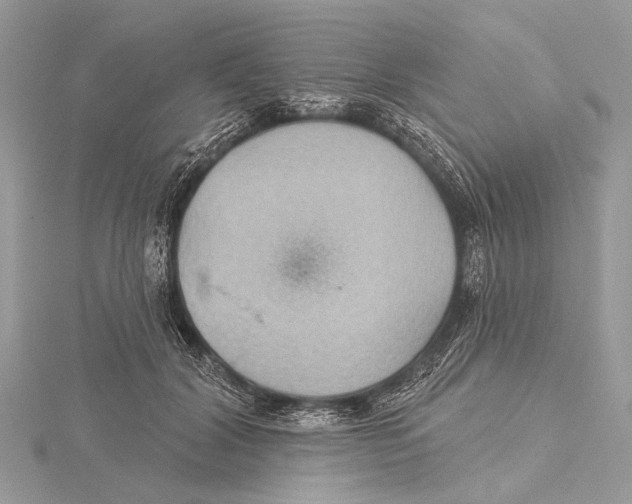 X0000115530604200912040951