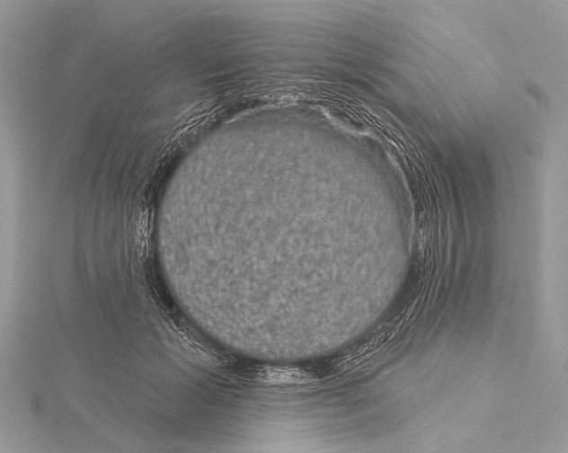 X0000115530605200912040951