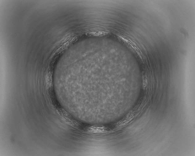 X0000115530606200912040951