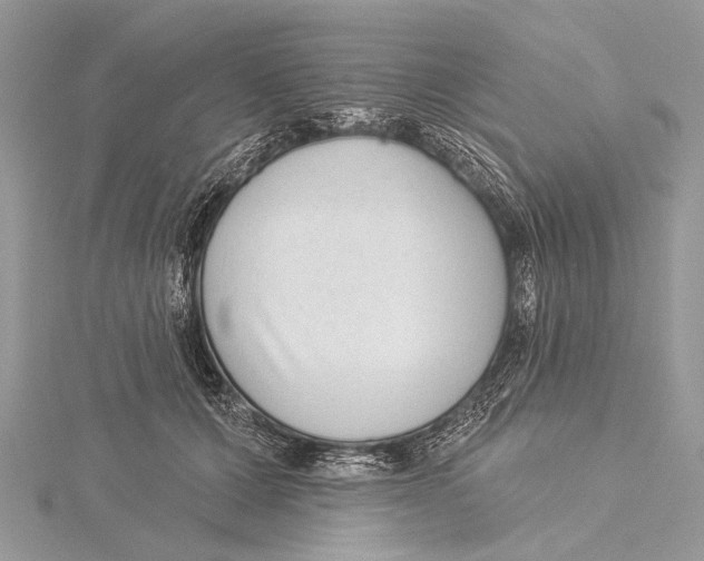 X0000115530607200912040951