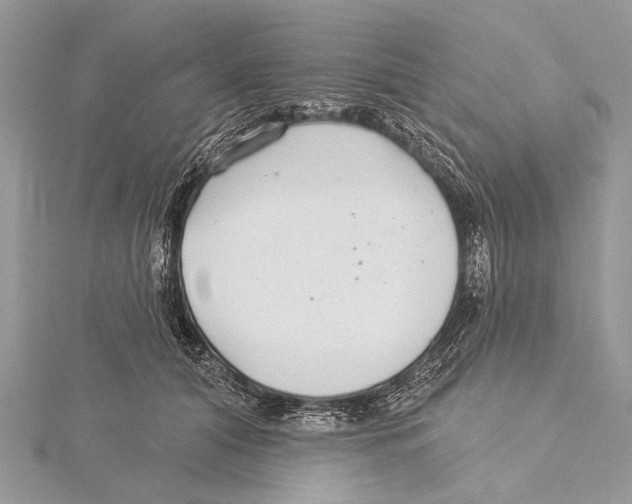 X0000115530608200912040951