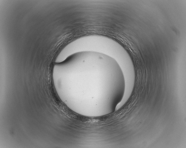 X0000115530609200912040951