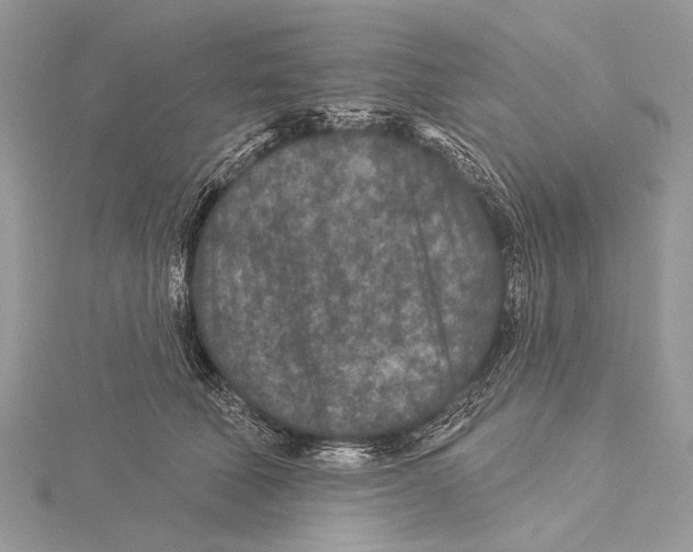 X0000115530610200912040951