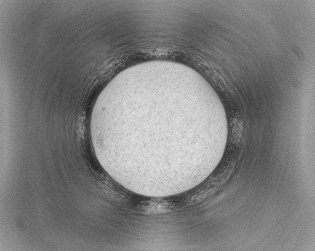 X0000115530612200912040951