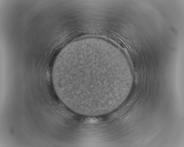 X0000115530613200912040951