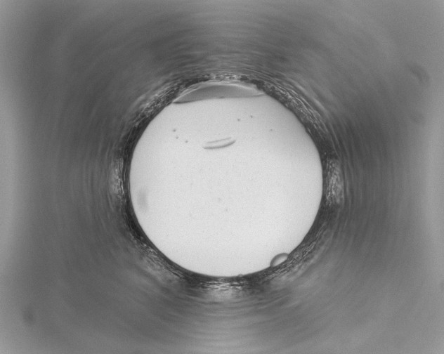 X0000115530616200912040951