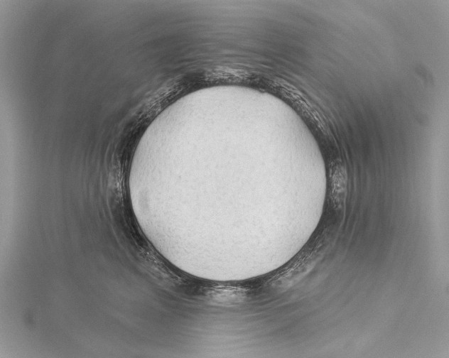 X0000115530617200912040951