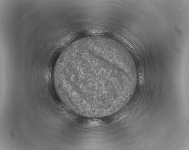 X0000115530618200912040951