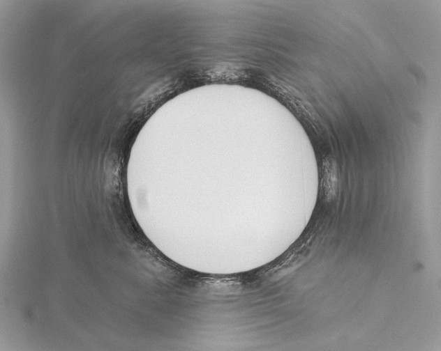 X0000115530619200912040951