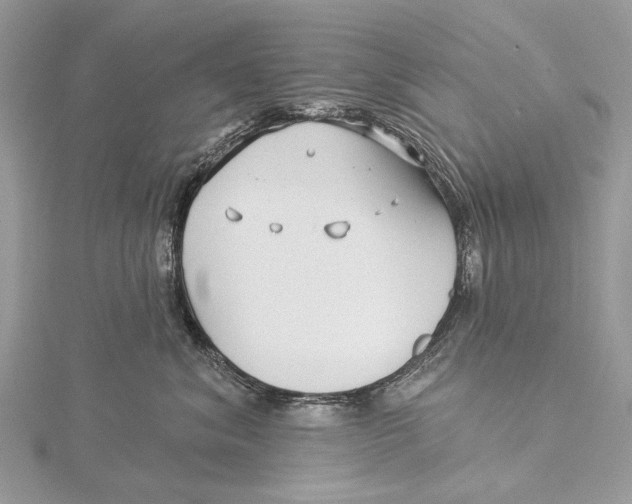 X0000115530620200912040951