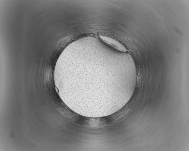 X0000115530623200912040951