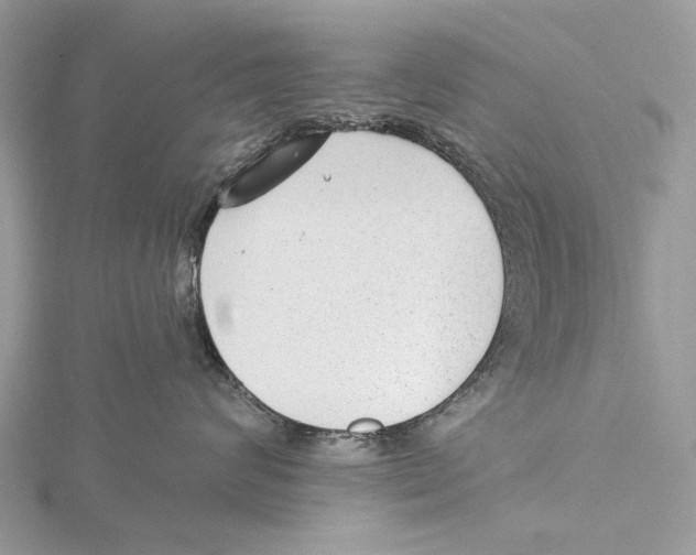 X0000115530624200912040951