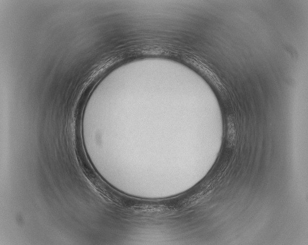 X0000115530626200912040950