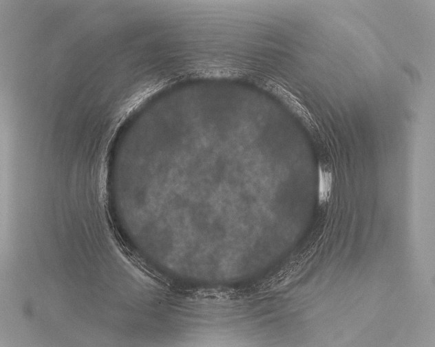 X0000115530627200912040950