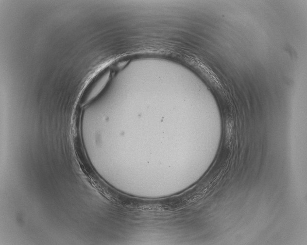 X0000115530628200912040950