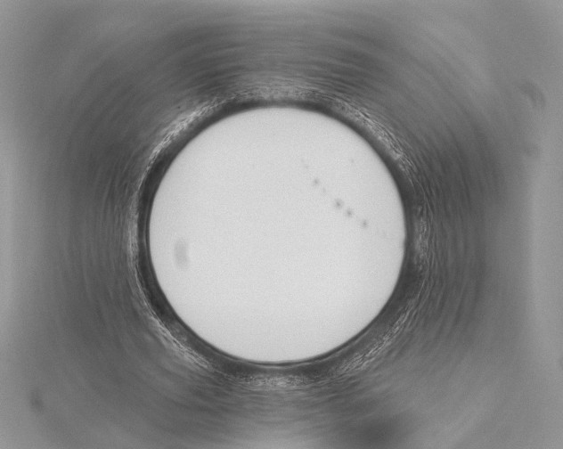 X0000115530629200912040950