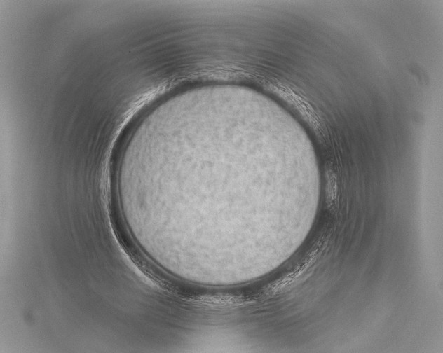 X0000115530630200912040950