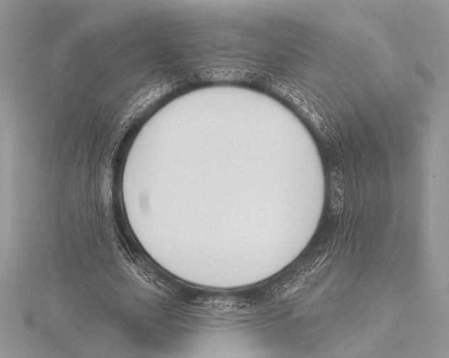 X0000115530631200912040950