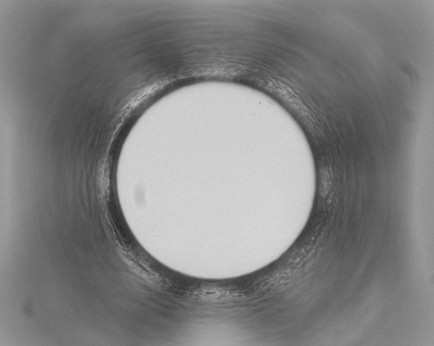 X0000115530632200912040950