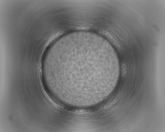 X0000115530634200912040951